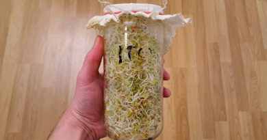 Itujen kasvatus kuvassa